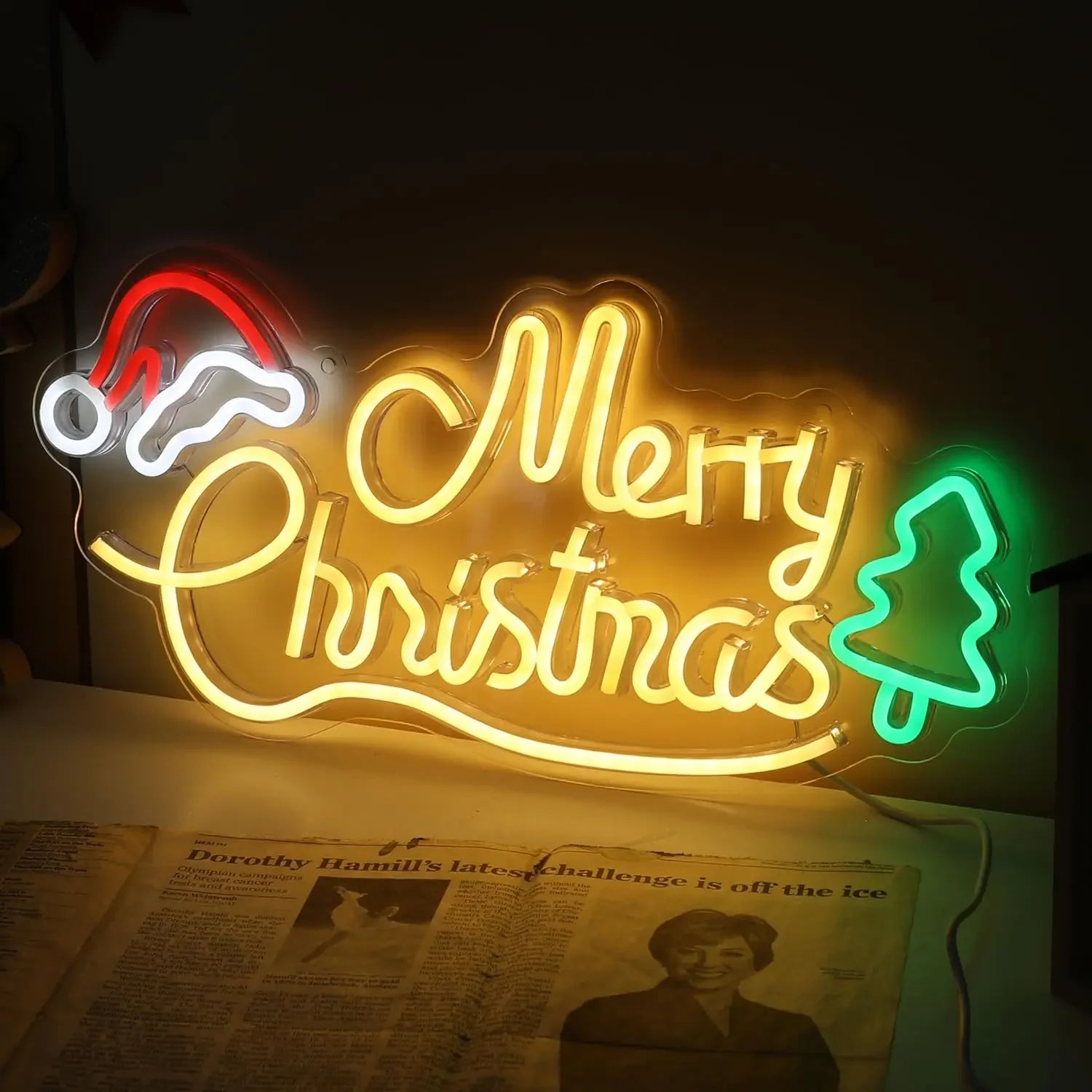 Christmas LED Neon Lights