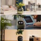Ivy Smart Planter Endless Fun Over 49 Rich Expressions 7 Smart Sensors And AI Chips Make Raising Plants Easy And Fun
