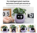 Ivy Smart Planter Endless Fun Over 49 Rich Expressions 7 Smart Sensors And AI Chips Make Raising Plants Easy And Fun